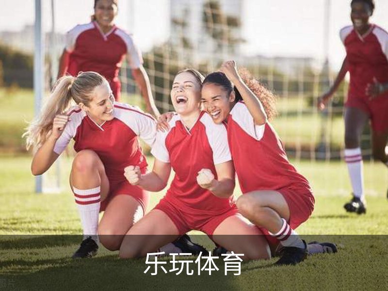 关于乐玩体育